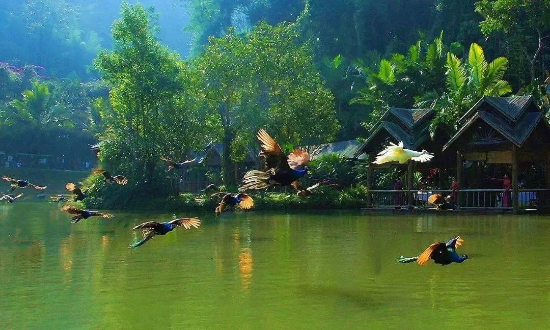 谁知道 天格 地格 人格 外格的意思啊游戏画面